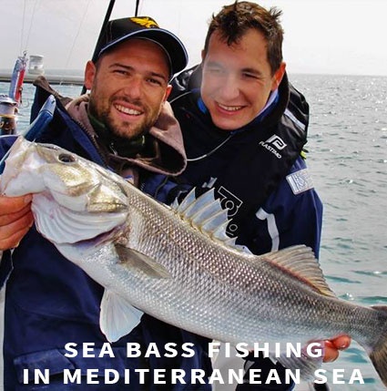 Sea bass fishing in the Mediterranean sea